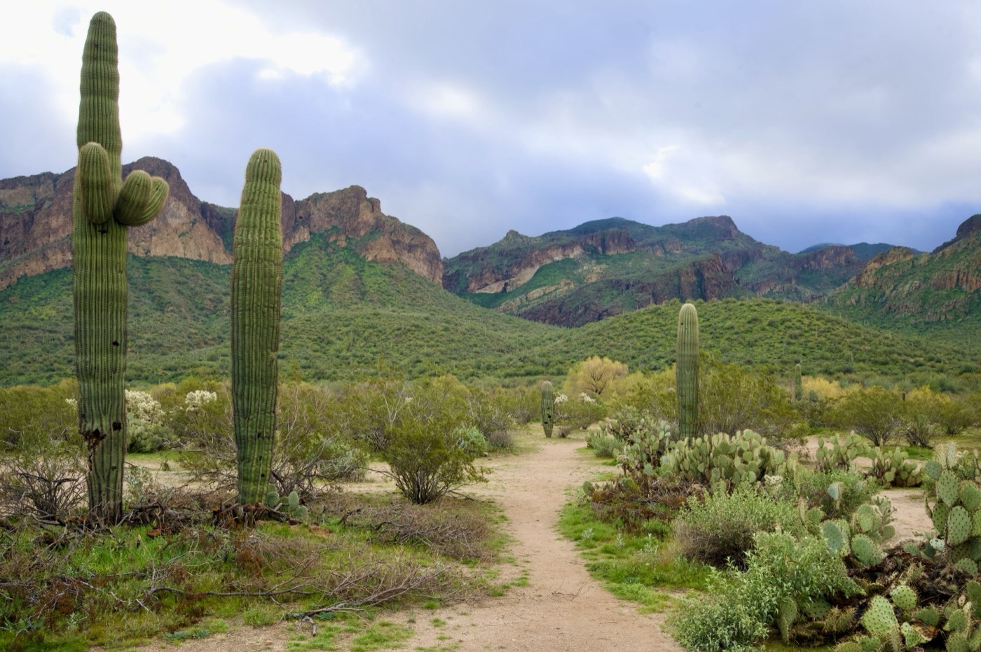 A desert trail winding toward mountains under heavy cloud.
